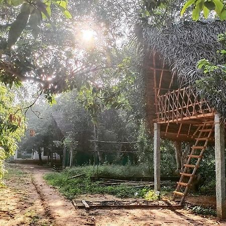 מלון אורוויל Art Forest מראה חיצוני תמונה