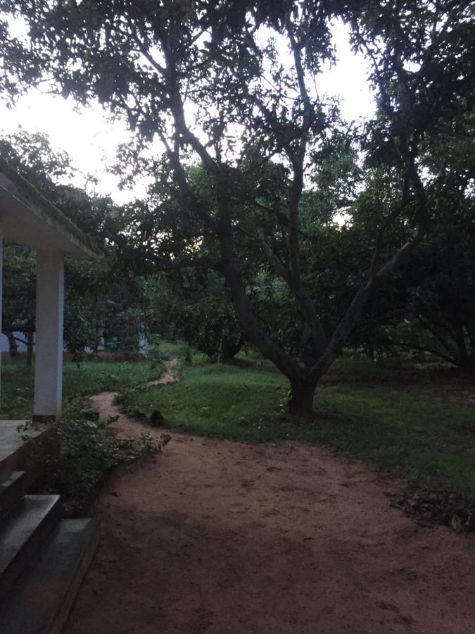 מלון אורוויל Art Forest מראה חיצוני תמונה
