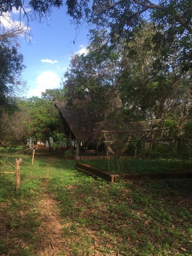 מלון אורוויל Art Forest מראה חיצוני תמונה