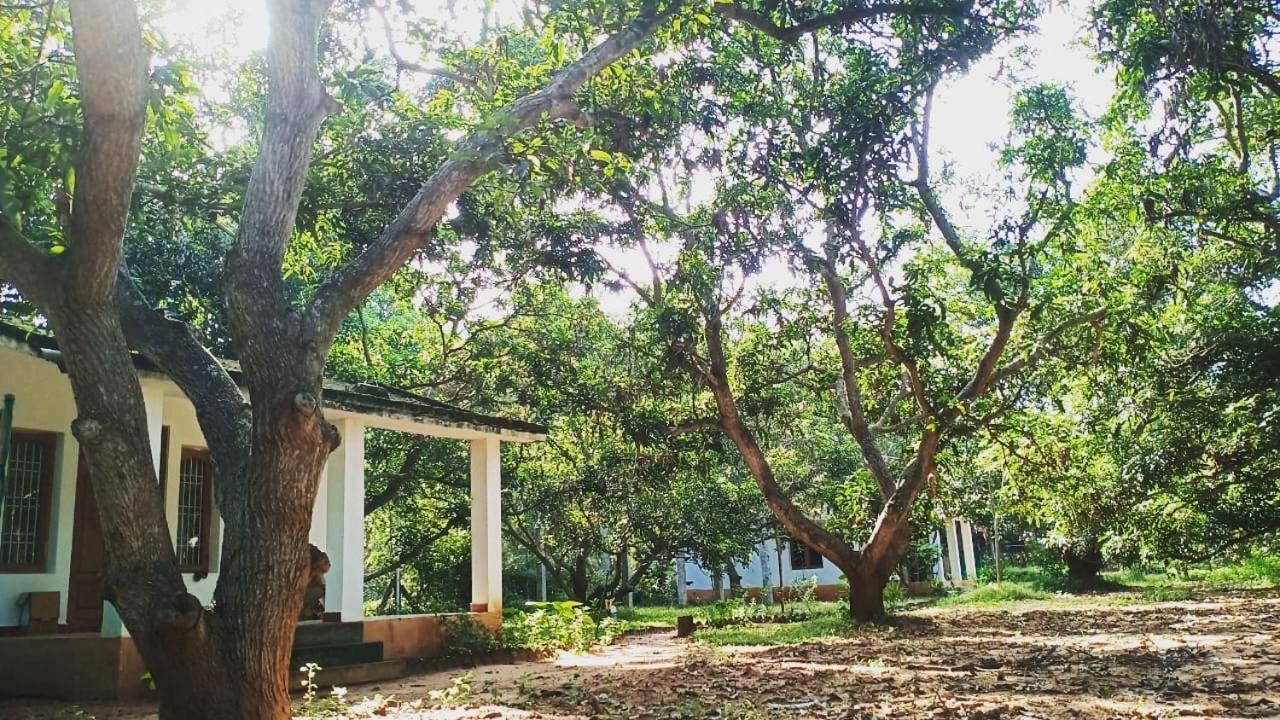 מלון אורוויל Art Forest מראה חיצוני תמונה